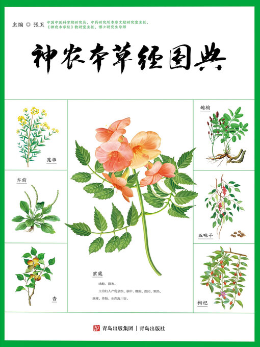 Cover image for 神农本草经图典